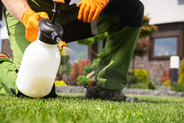 Best Mosquito Control Services  in Clairton, PA