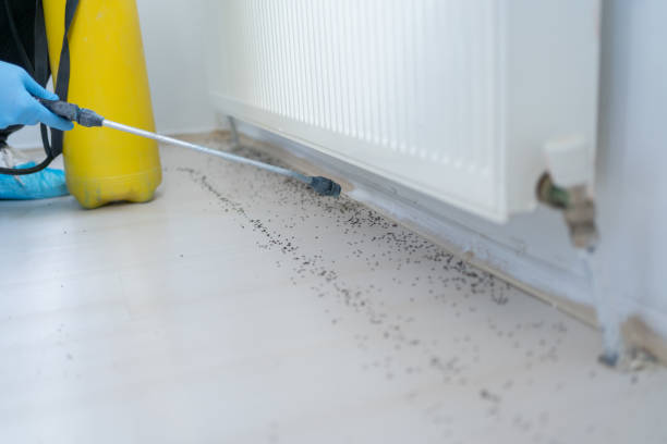 Best Residential Pest Control  in Clairton, PA