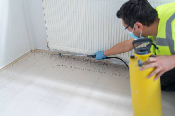 Reliable Clairton, PA Pest Control Solutions